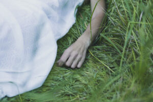 herbe