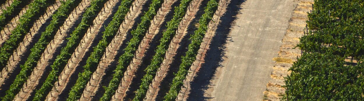 Le guide complet pour créer un itinéraire sur la route des vins du Rhône