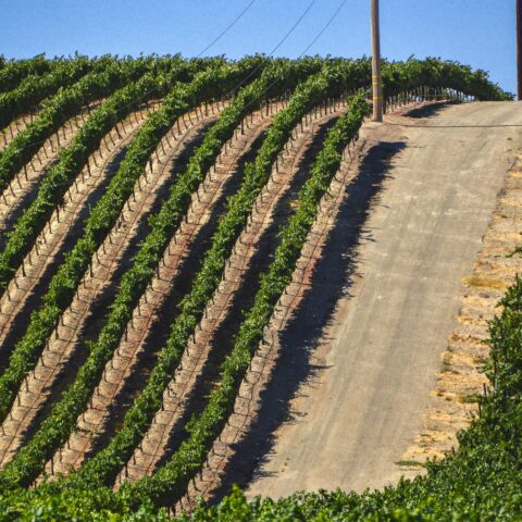 Le guide complet pour créer un itinéraire sur la route des vins du Rhône