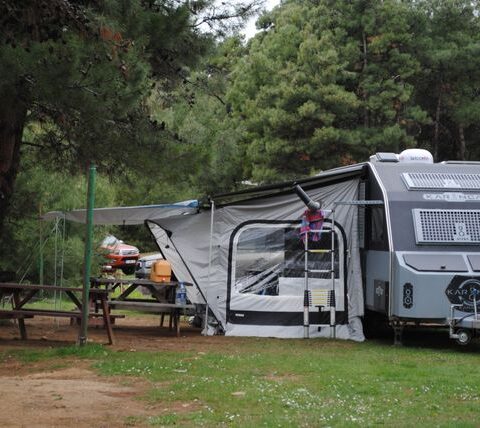 Vacances en camping : comment préparer un séjour réussi ?